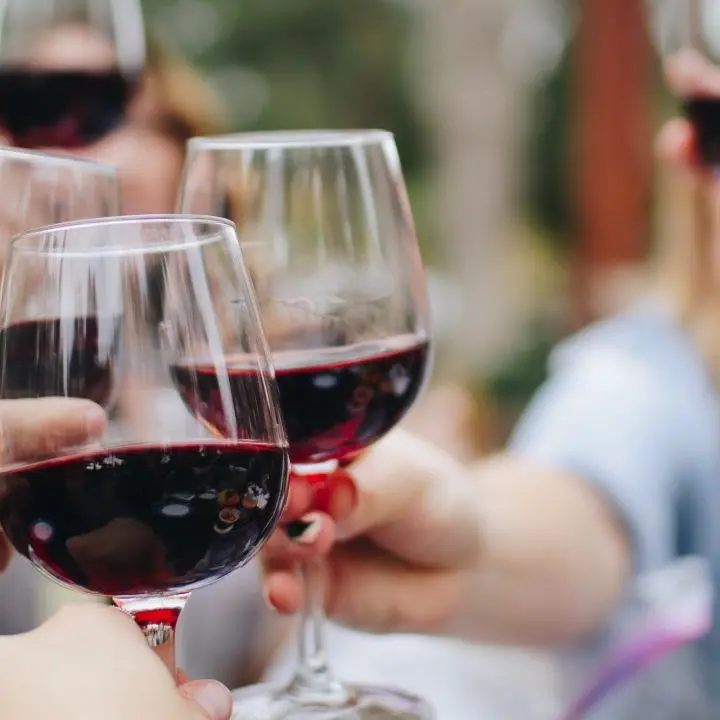 Ecco quali sono i migliori vini della Calabria premiati con I tre bicchieri da Gambero Rosso