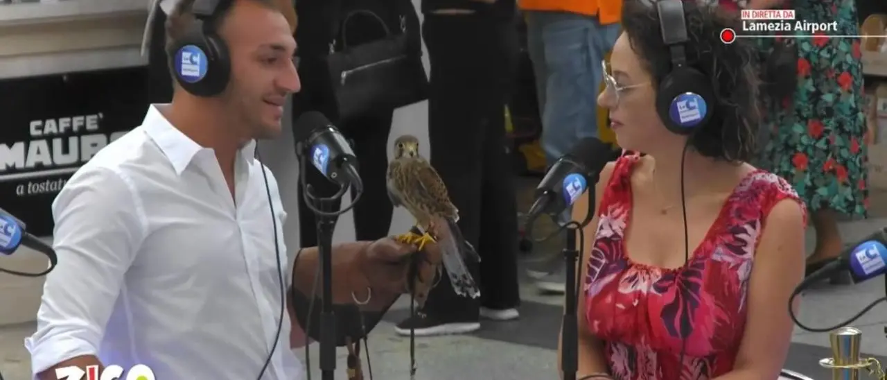 Falconiere per passione, ecco perché Gioiele ha scelto la Calabria per allevare i suoi rapaci: «Con loro un legame simbiotico»