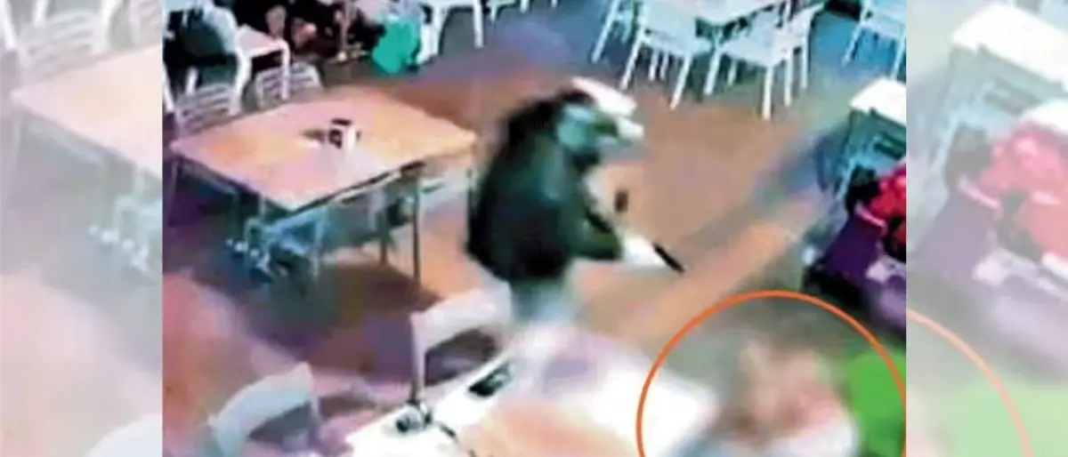 Il carico di droga scomparso e le promesse tradite: l’ombra della ’ndrangheta sull’omicidio di Walter Albi a Pescara