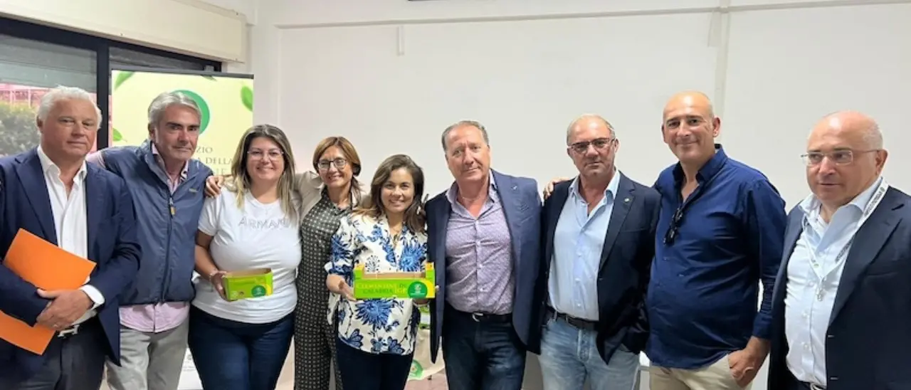Consorzio Igp Clementine di Calabria, col nuovo disciplinare l’obiettivo è la competitività sui mercati