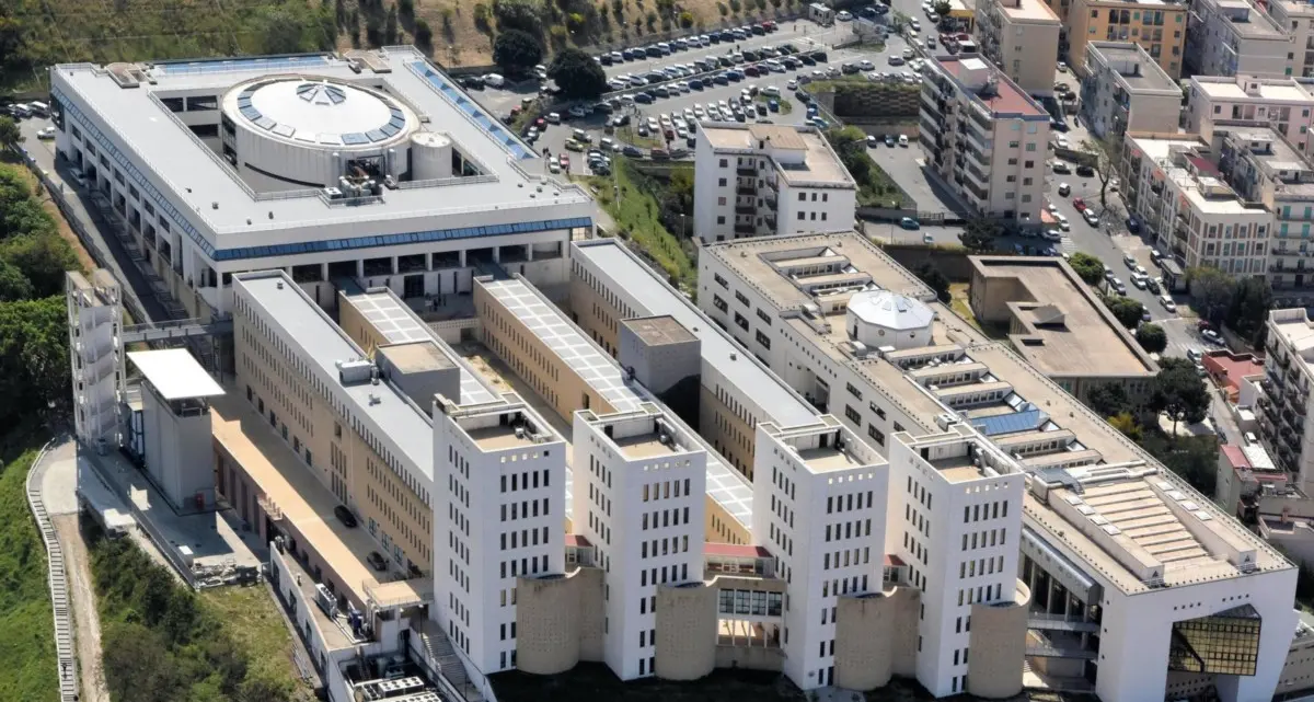 «L’80% dei laureati a Reggio trova\u00A0lavoro entro un anno»: l’Università presenta la nuova offerta formativa\n