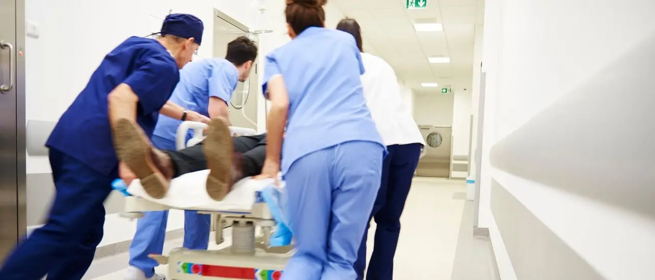 Sospetta intossicazione da funghi, 31enne di Cosenza ricoverato in gravi condizioni