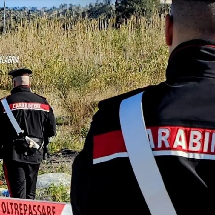 Beccato mentre appicca un incendio in un bosco a Cardeto, arrestato