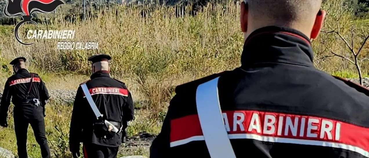 Beccato mentre appicca un incendio in un bosco a Cardeto, arrestato