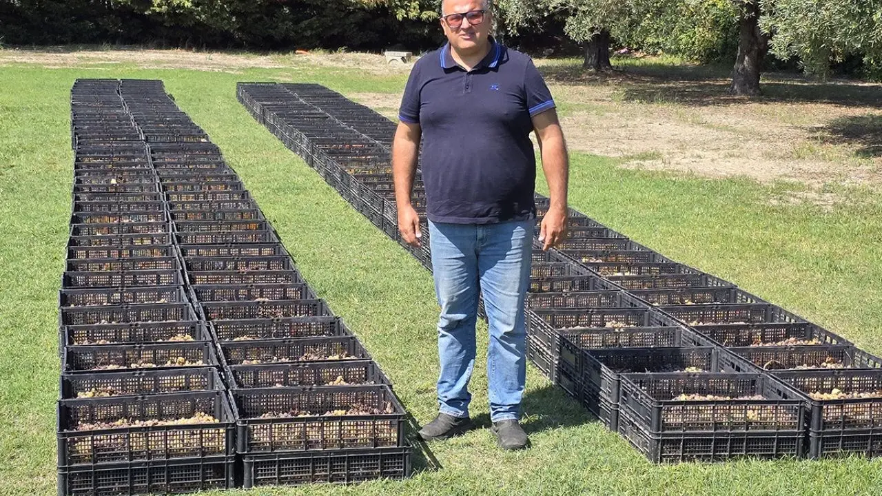 Calabria terra di vini passiti: la produzione del Greco di Bianco protagonista di Grand Terroir su LaC On Air