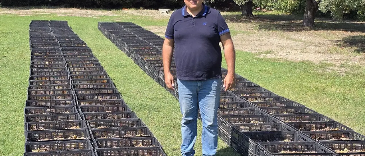 Calabria terra di vini passiti: la produzione del Greco di Bianco protagonista di Grand Terroir su LaC On Air