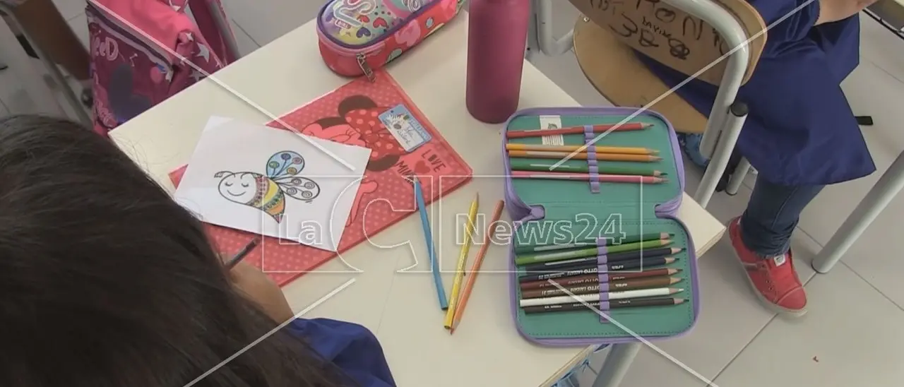 Assistenza scolastica per studenti disabili a rischio, a Catanzaro «poche risorse e orari ridotti»