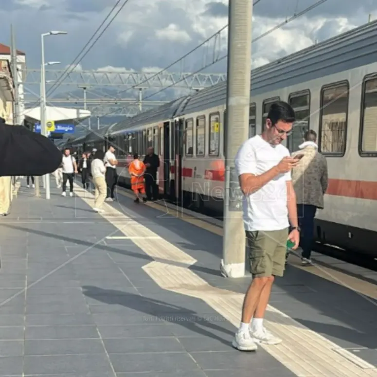 Treni, nel Lazio circolazione sospesa per ore a causa di un albero: disagi anche per i passeggeri diretti in Calabria