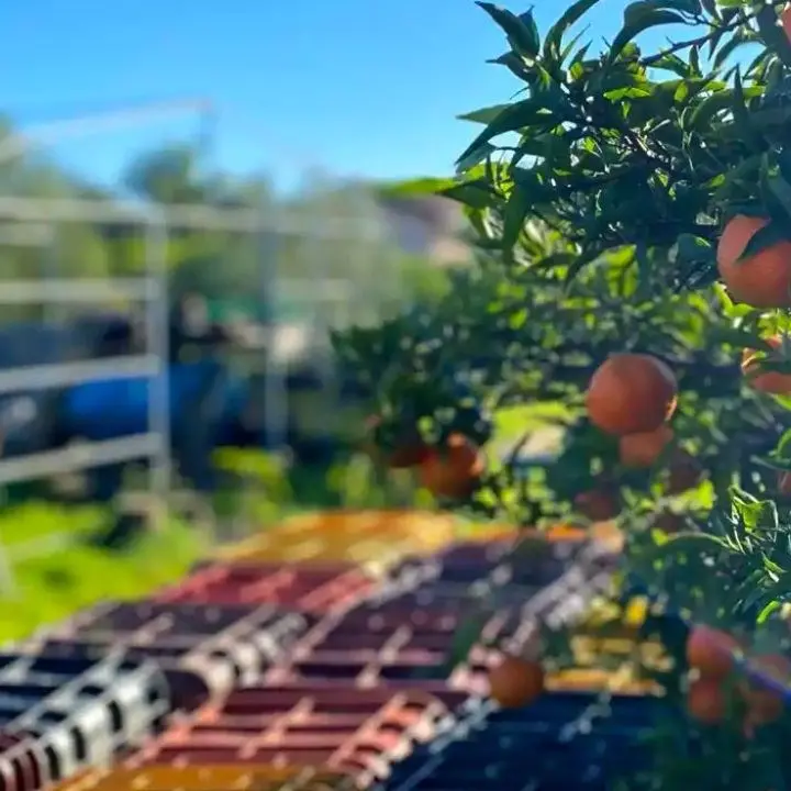 Intimidazioni agli agricoltori di Corigliano Rossano, Straface: «La Sibaritide faccia muro contro chi inquina la vita sociale ed economica»