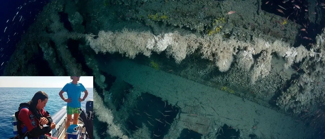 Inghiottita dalle acque oltre un secolo fa, il Mar Ionio restituisce un pezzo di storia: identificato il relitto della nave Melo