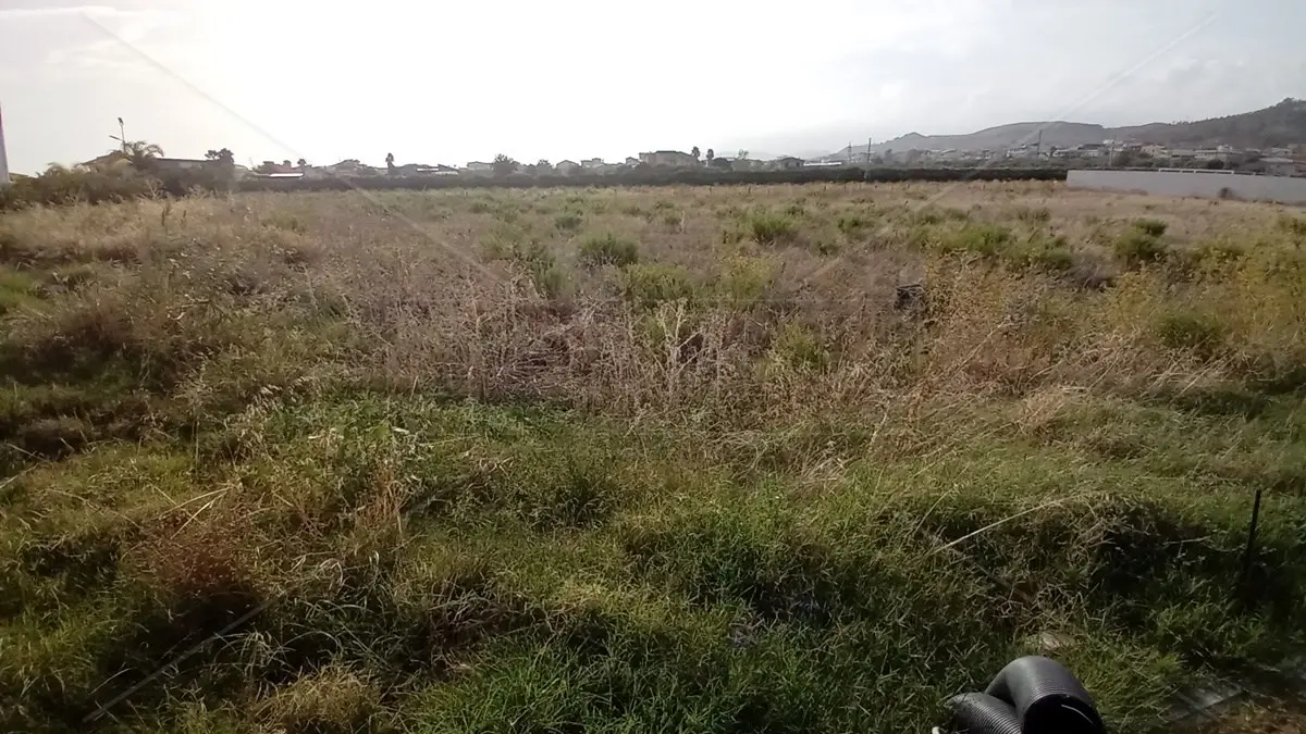 Le Centrali operative territoriali esistono solo sulla carta: Lamezia è una scatola vuota, a Botricello un campo incolto al posto della Cot