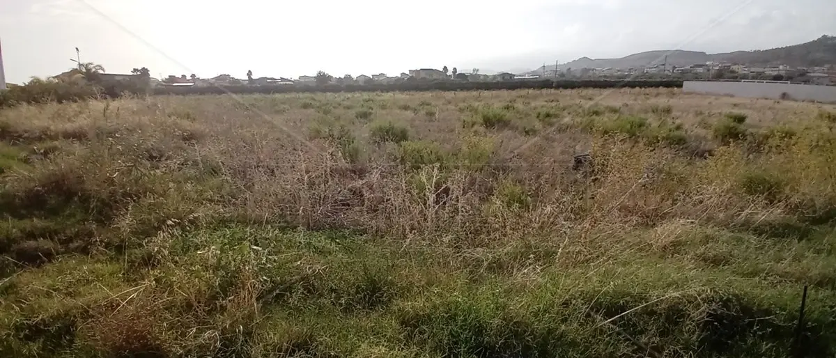 Le Centrali operative territoriali esistono solo sulla carta: Lamezia è una scatola vuota, a Botricello un campo incolto al posto della Cot