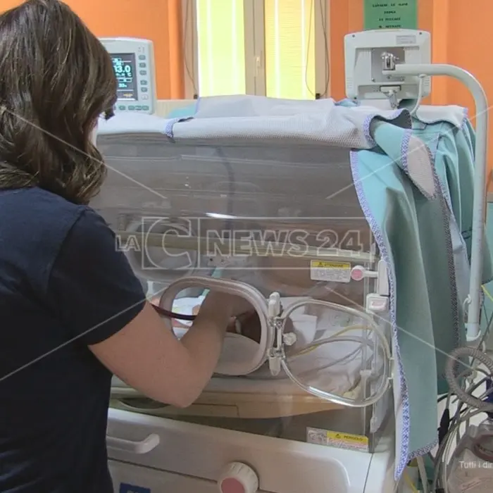 All’Università della Calabria la settima edizione del Congresso nazionale di Neonatologia Città di Alarico