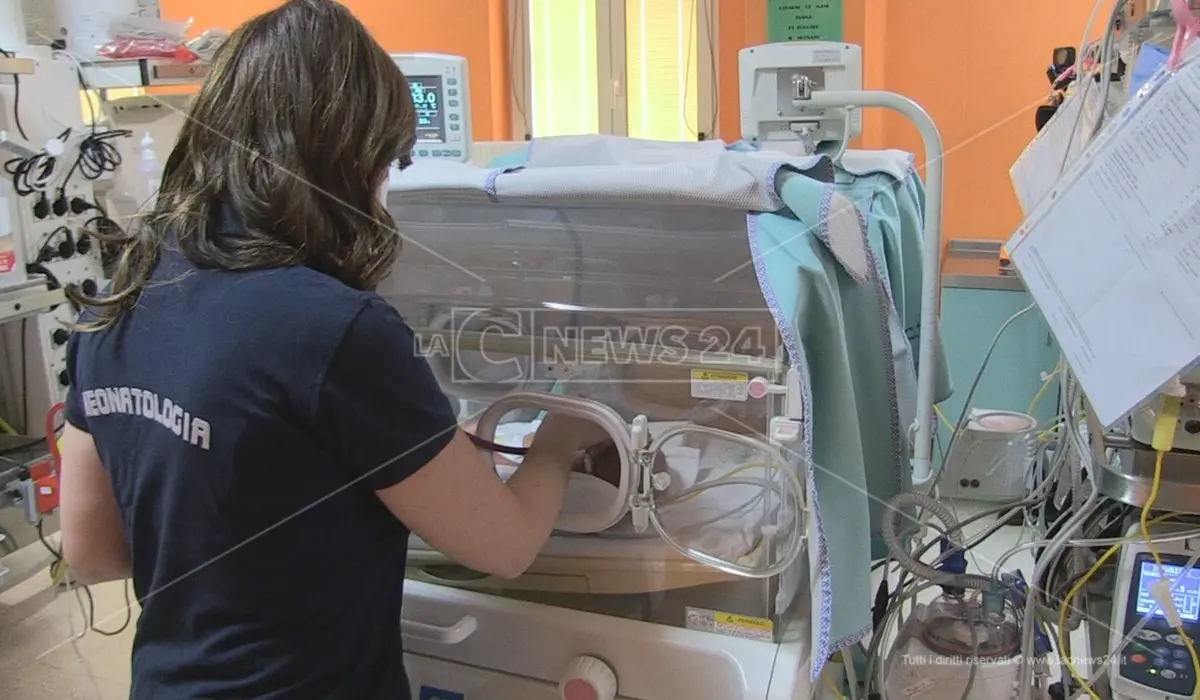 All’Università della Calabria la settima edizione del Congresso nazionale di Neonatologia Città di Alarico