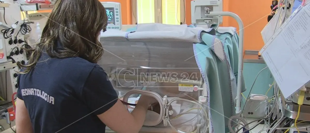 All’Università della Calabria la settima edizione del Congresso nazionale di Neonatologia Città di Alarico