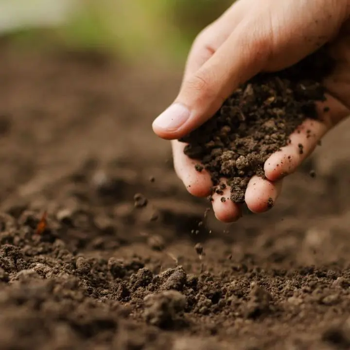 Cambiamento climatico, agricoltori e allevatori calabresi contrari alle norme per la transizione ecologica