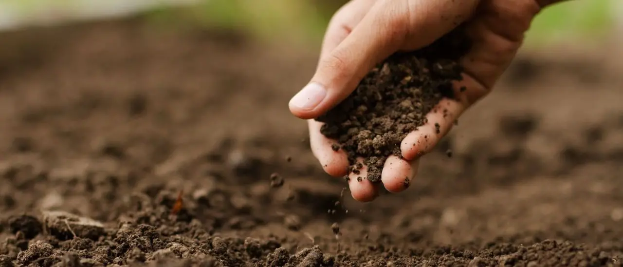 Cambiamento climatico, agricoltori e allevatori calabresi contrari alle norme per la transizione ecologica