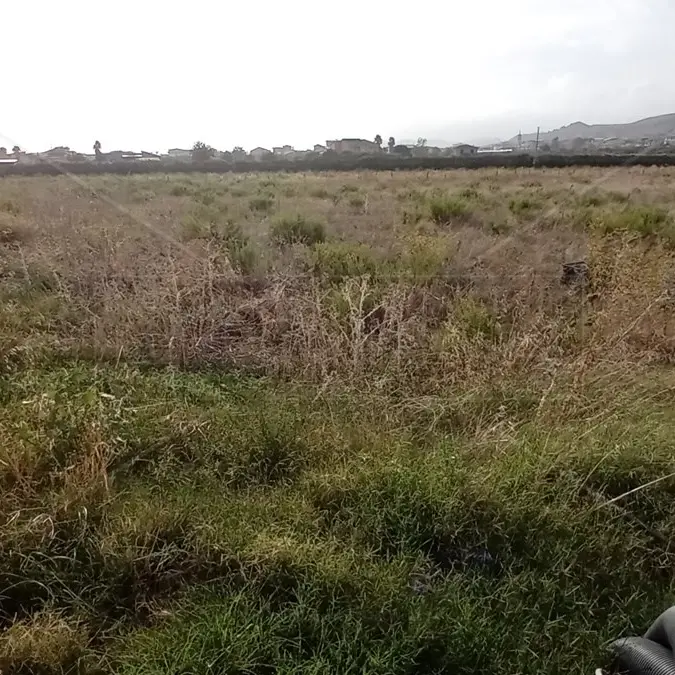 Centrali operative territoriali, l’Asp di Catanzaro precisa ma finisce per smentire la Regione: «Siamo ancora in fase di rodaggio»