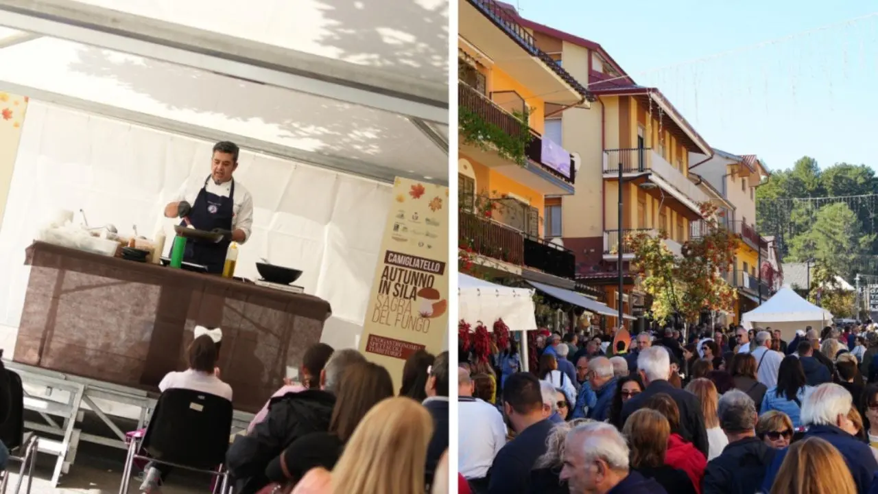 Record di presenze alla “Sagra del Fungo” di Camigliatello Silano: area food rinnovata e una villa storica riaperta