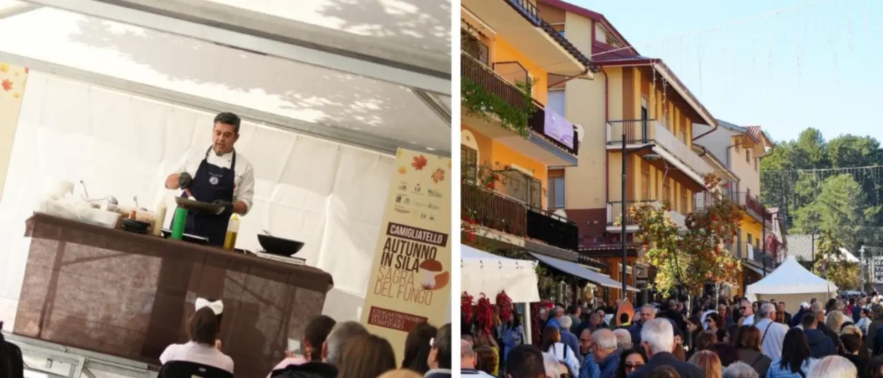 Record di presenze alla “Sagra del Fungo” di Camigliatello Silano: area food rinnovata e una villa storica riaperta