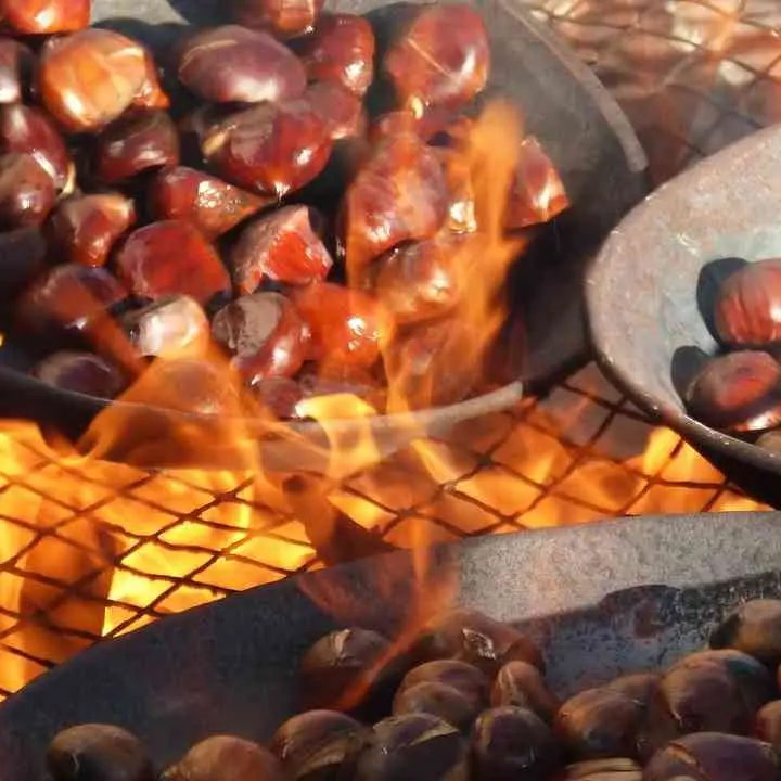 Il tempo delle castagne, la Calabria celebra la regina dell’autunno: ecco alcune delle sagre più famose e longeve della regione