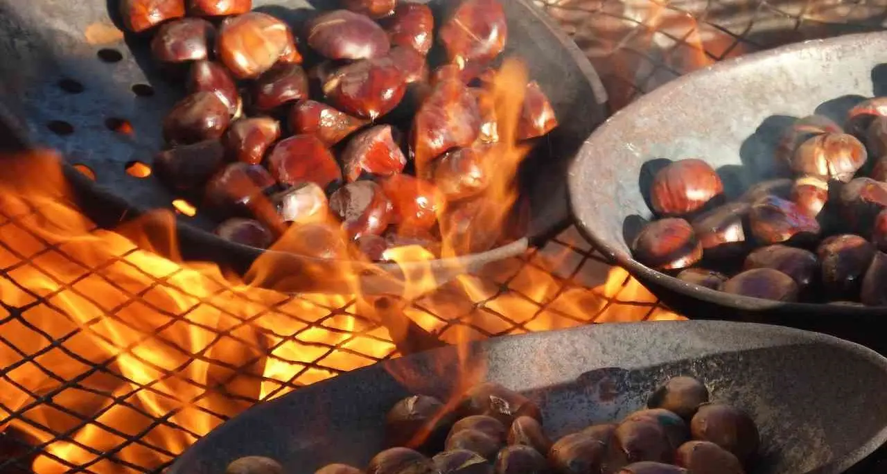 Il tempo delle castagne, la Calabria celebra la regina dell’autunno: ecco alcune delle sagre più famose e longeve della regione