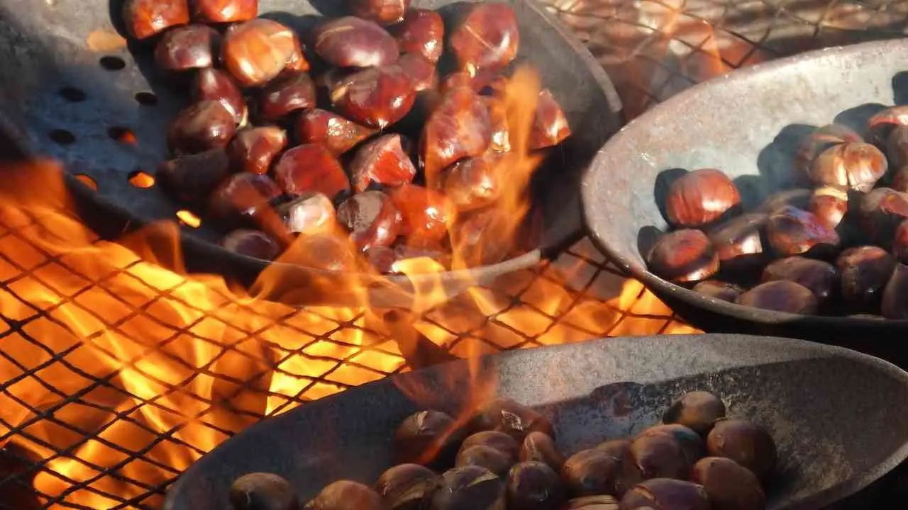 Il tempo delle castagne, la Calabria celebra la regina dell’autunno: ecco alcune delle sagre più famose e longeve della regione