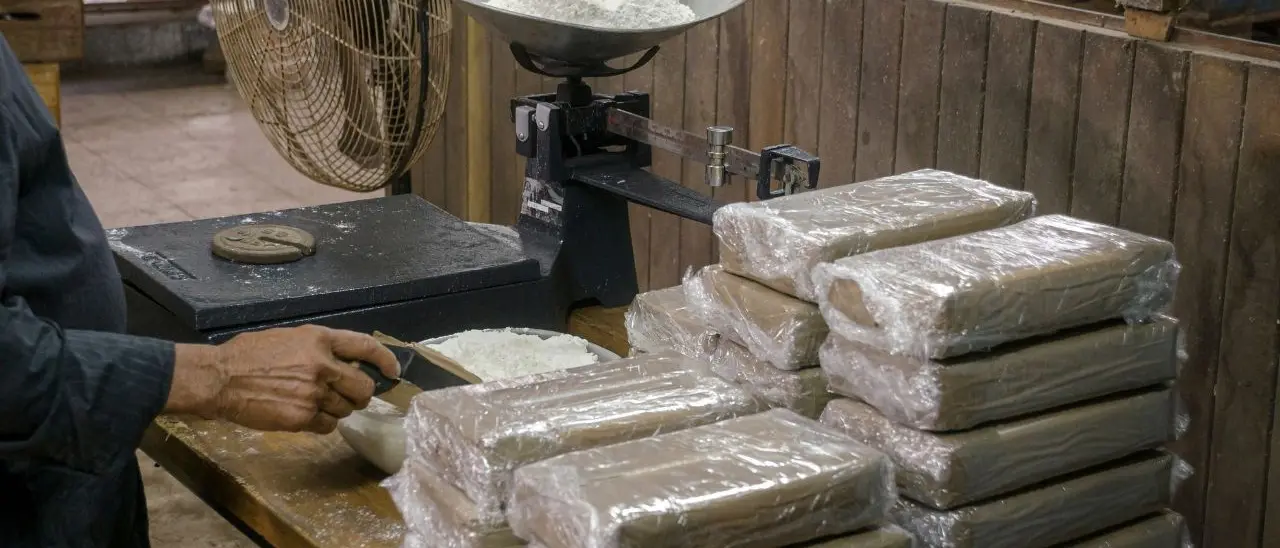 Traffico di cocaina dal Sudamerica in Italia gestito dai clan calabresi, la Dda chiede la condanna per 28 imputati - I NOMI