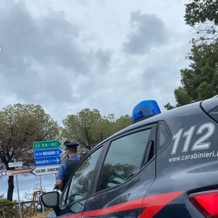 Coltivava piante di marijuana sul balcone di casa nel Reggino: denunciato un 47enne