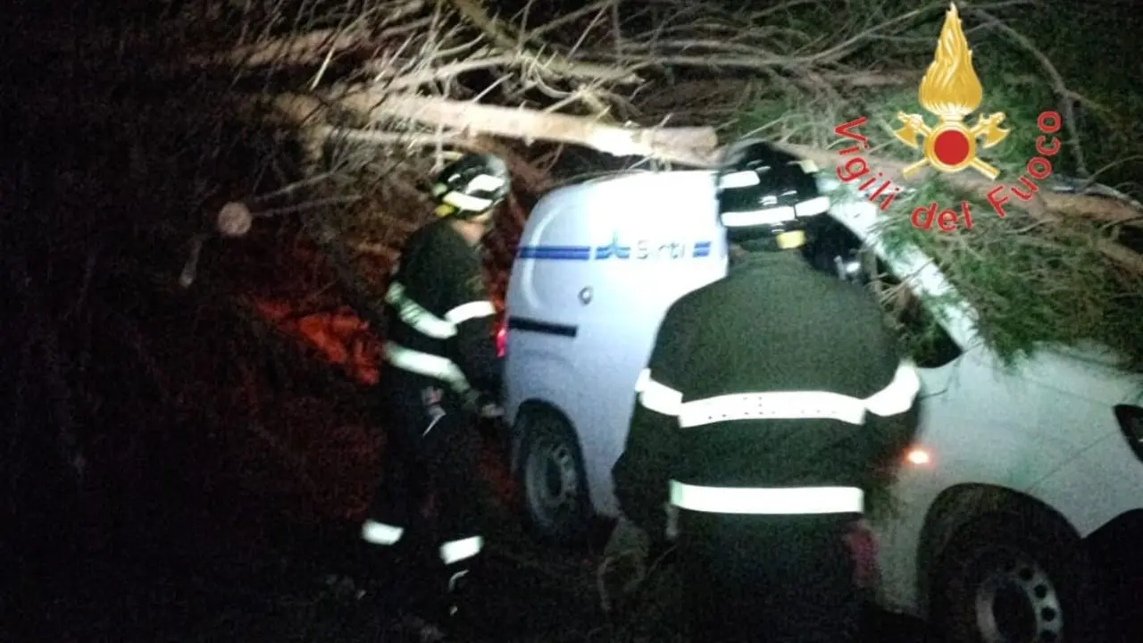 Il maltempo continua a causare danni: albero cade sulla strada dei Due Mari e prende in pieno un furgone