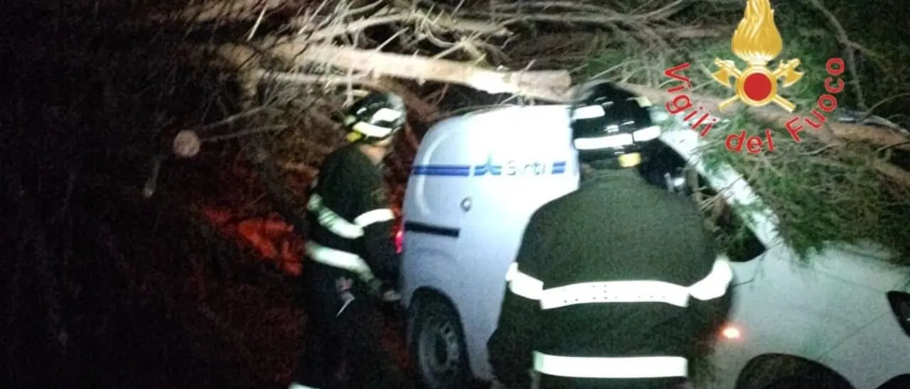 Il maltempo continua a causare danni: albero cade sulla strada dei Due Mari e prende in pieno un furgone