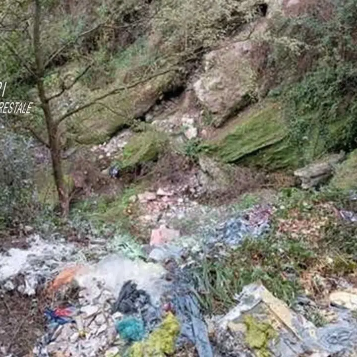 Rifiuti pericolosi abbandonati in un torrente nel Parco d’Aspromonte: due imprenditori denunciati