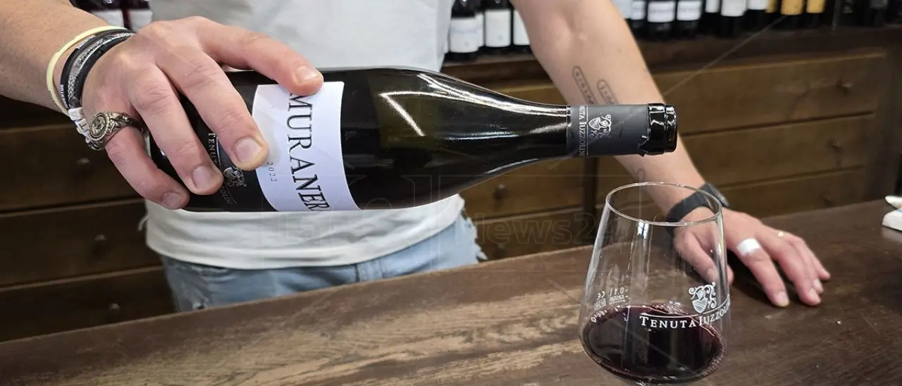 Muranera di Tenuta Iuzzolini: sintesi mirabile tra vitigni autoctoni e internazionali coltivati nel Cirotano