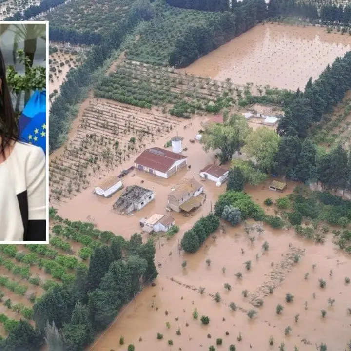 Maltempo in Calabria, Senese (Uil): «Serve un piano straordinario di investimenti»