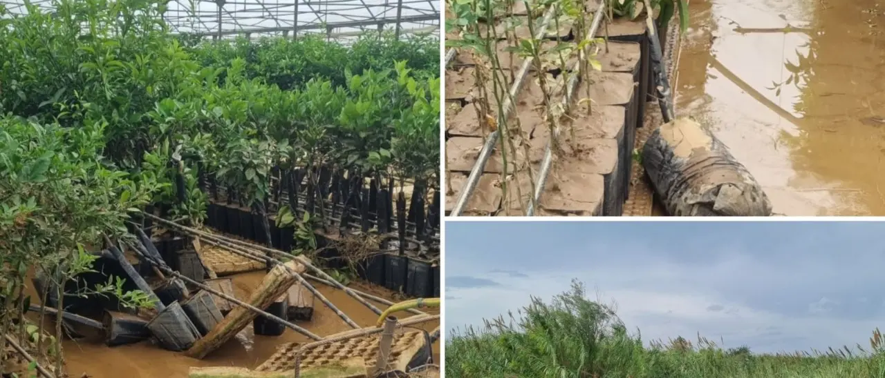 Aziende in ginocchio dopo l’alluvione che ha spazzato via tutto: «Lo stesso incubo del 2018, non riusciremo sempre a rialzarci»