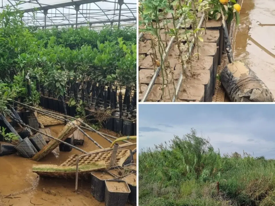 Aziende in ginocchio dopo l’alluvione che ha spazzato via tutto: «Lo stesso incubo del 2018, non riusciremo sempre a rialzarci»