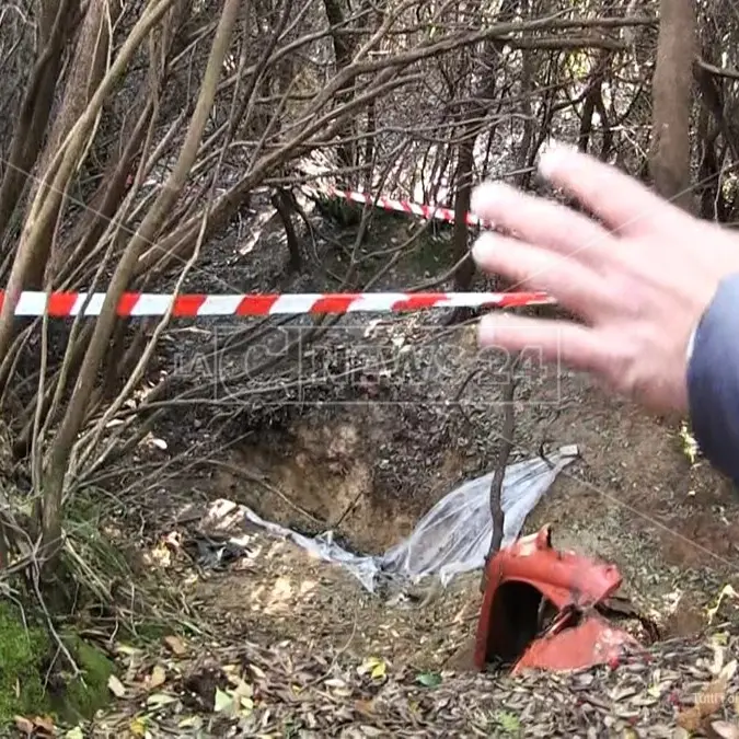 L’arsenale nel bosco: il nascondiglio delle armi del clan delle Preserre vibonesi nelle inedite dichiarazioni del pentito Loielo