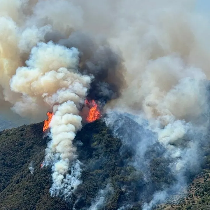 Lotta agli incendi, la Regione Calabria ottiene il via libera per due nuovi progetti da un milione di euro ciascuno