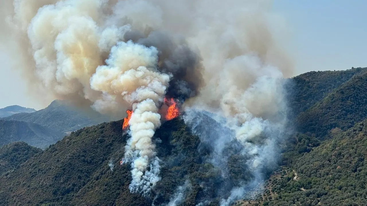 Lotta agli incendi, la Regione Calabria ottiene il via libera per due nuovi progetti da un milione di euro ciascuno