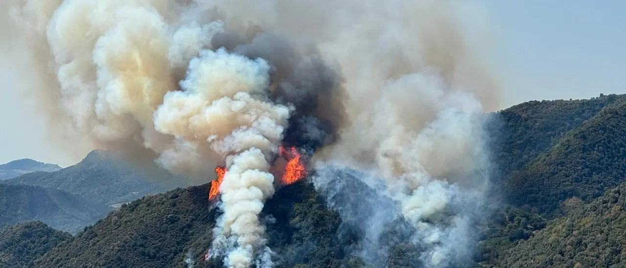 Lotta agli incendi, la Regione Calabria ottiene il via libera per due nuovi progetti da un milione di euro ciascuno