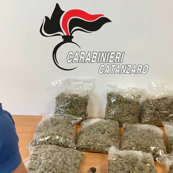 Lamezia Terme, trovato con oltre 5 chili di marijuana nel bagagliaio dell’auto: arrestato un 28enne