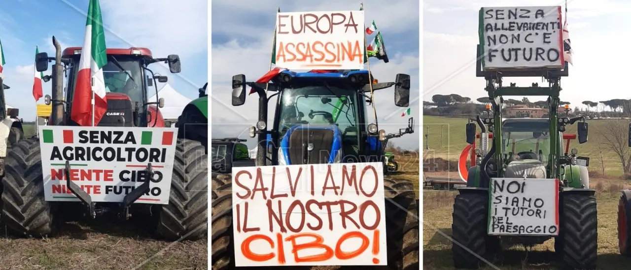 Agricoltori pronti a una nuova mobilitazione, chiamata all’unità per chiedere misure urgenti contro la crisi