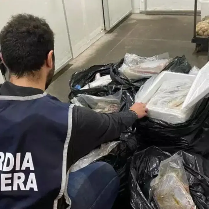 Pesce senza tracciabilità, raffica di multe in Calabria: sequestrati 1500 chili di prodotti ittici