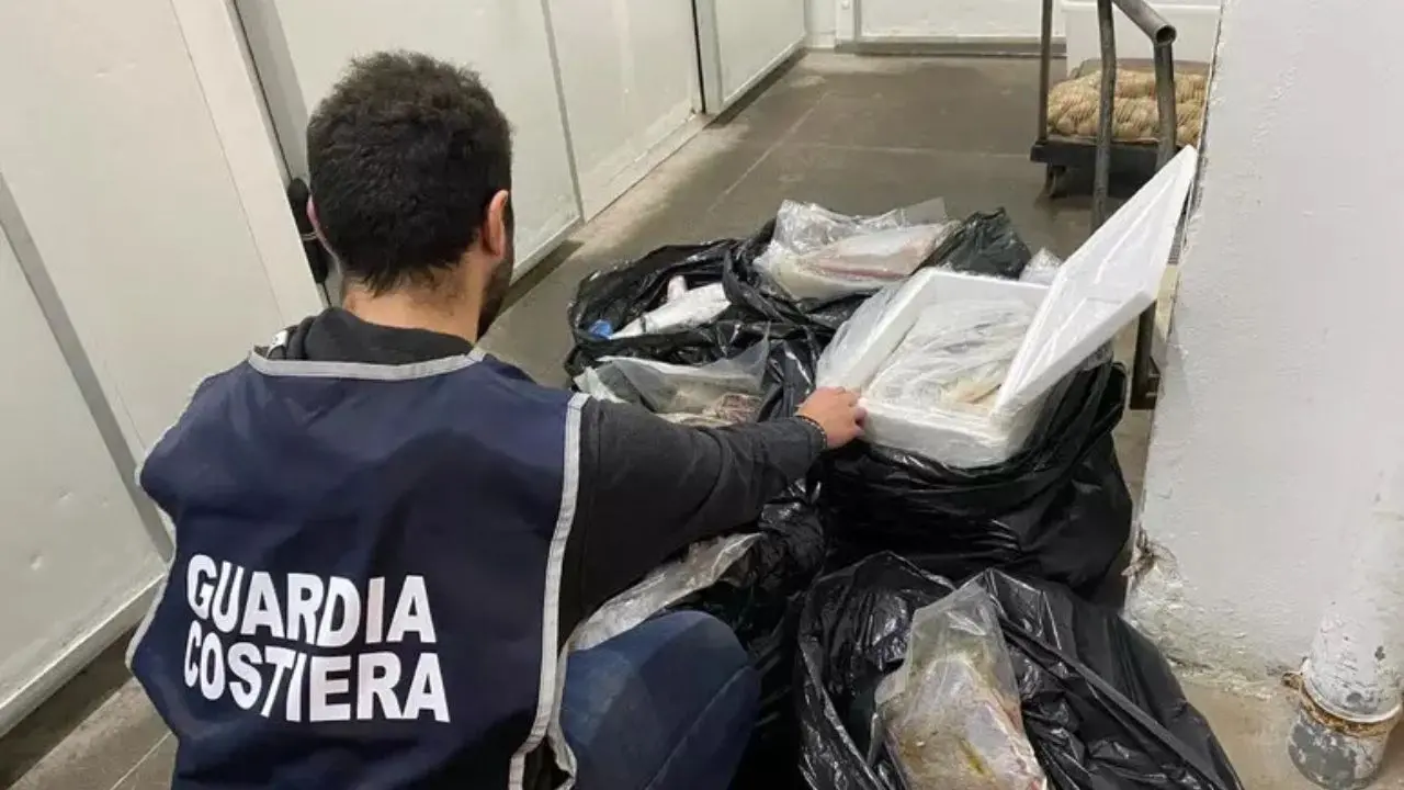 Pesce senza tracciabilità, raffica di multe in Calabria: sequestrati 1500 chili di prodotti ittici