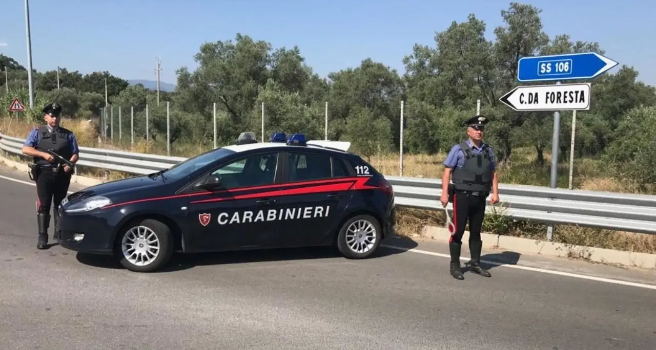 Corigliano Rossano, tagliate 100 piante di agrumi e ulivi secolari ad un imprenditore: sospetto atto intimidatorio