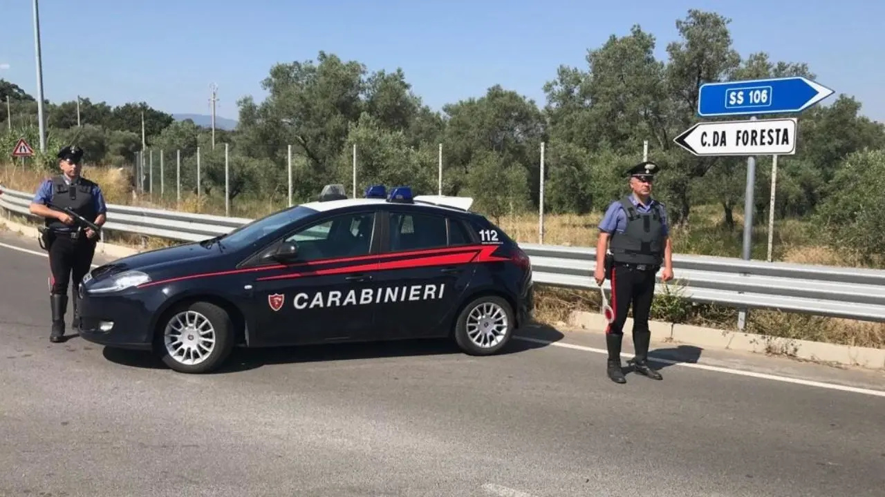 Corigliano Rossano, tagliate 100 piante di agrumi e ulivi secolari ad un imprenditore: sospetto atto intimidatorio