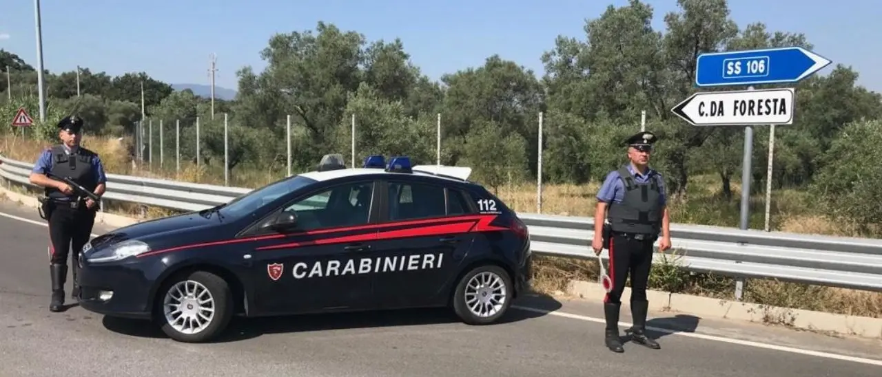 Corigliano Rossano, tagliate 100 piante di agrumi e ulivi secolari ad un imprenditore: sospetto atto intimidatorio