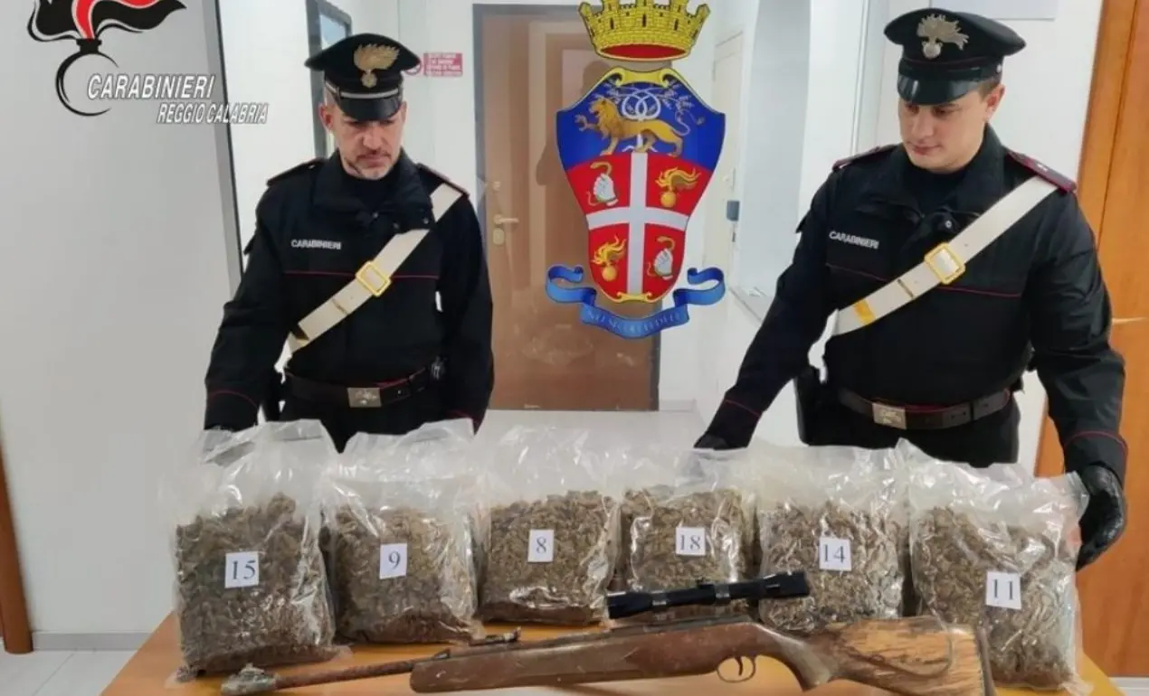 Nove chili di marijuana, un’arma clandestina e munizioni scoperte nelle campagne del Reggino