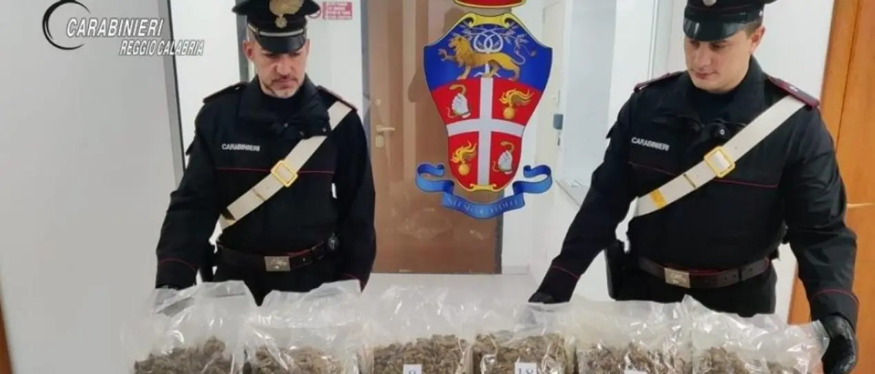 Nove chili di marijuana, un’arma clandestina e munizioni scoperte nelle campagne del Reggino
