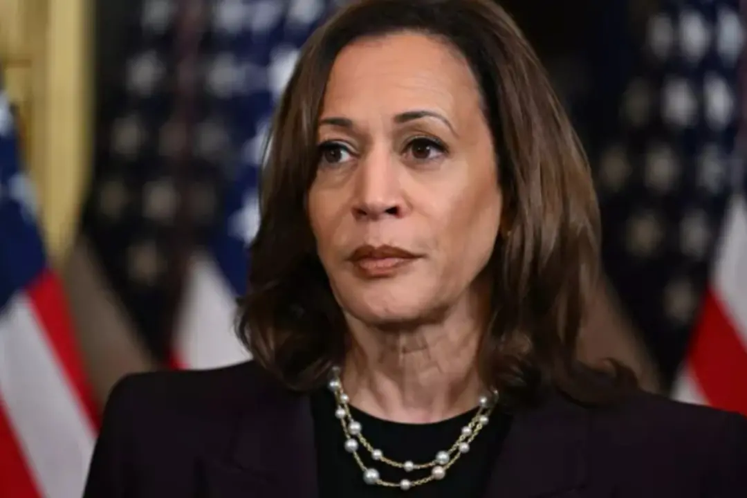 Kamala Harris, foto ansa